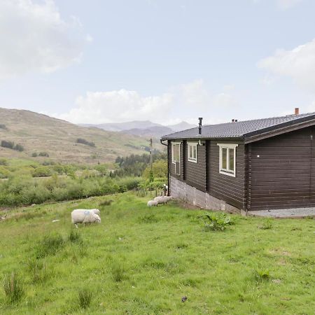 Snowdon Vista Cabin Villa Caernarfon Ngoại thất bức ảnh