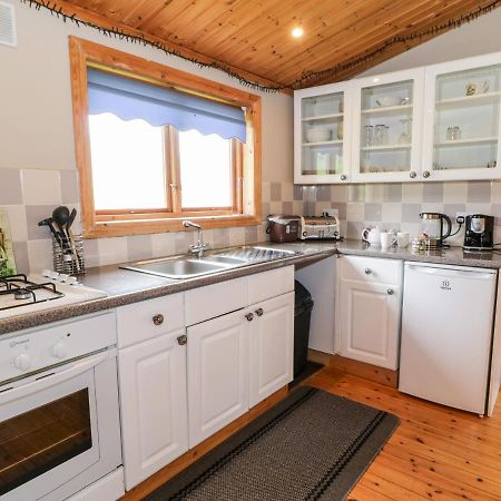 Snowdon Vista Cabin Villa Caernarfon Ngoại thất bức ảnh