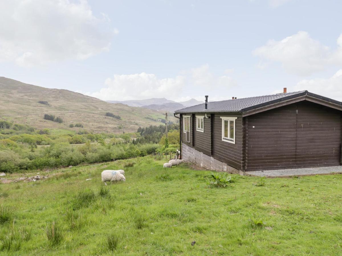 Snowdon Vista Cabin Villa Caernarfon Ngoại thất bức ảnh