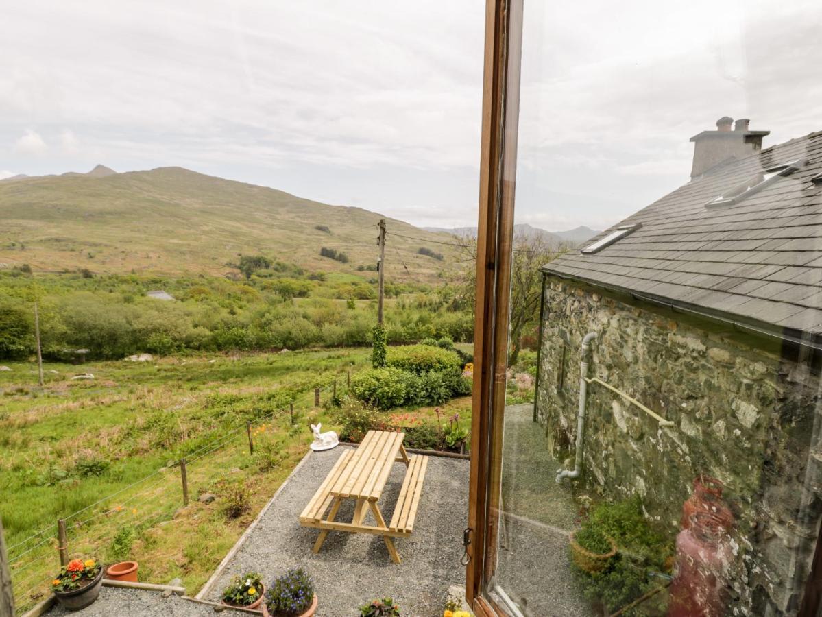 Snowdon Vista Cabin Villa Caernarfon Ngoại thất bức ảnh